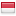 shafp.org server is located in Indonesia